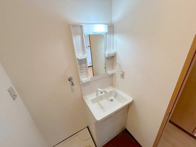 第2パレス東洋の洗面所