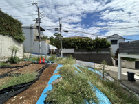 世田谷区代田2丁目　建築条件なし土地の画像
