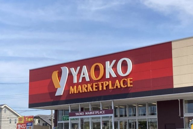 レオパレスアミティエの周辺