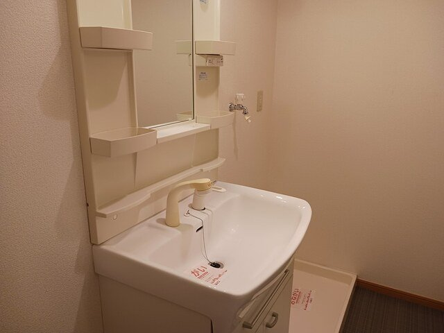 エテルノ・グランデ参番館の洗面所