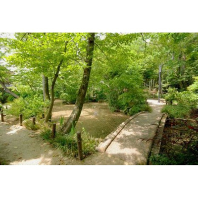 【周辺】 | セントレージつつじケ丘 | 公園「実篤公園まで282ｍ」