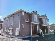 プラシードフィルⅢの画像