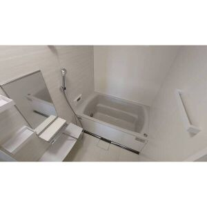 ダイアパレス江南の浴室