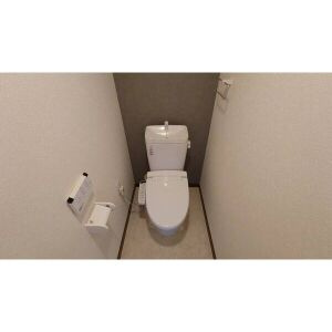 ダイアパレス江南のトイレ