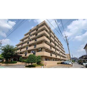 ダイアパレス江南の外観