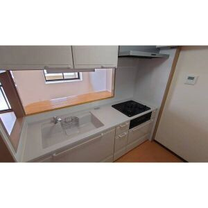 ダイアパレス江南のキッチン