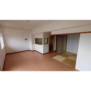 ダイアパレス江南の居間・リビング