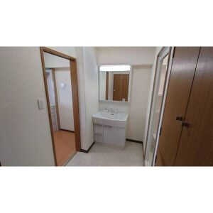 ダイアパレス江南の洗面所