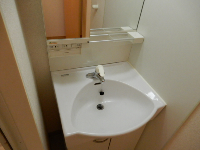 レオネクスト花水木の洗面所