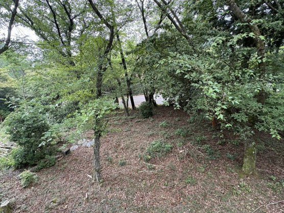 【庭】 | 東急天城高原別荘地　戸建