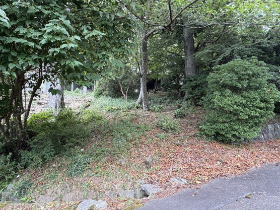 【庭】 | 東急天城高原別荘地　戸建