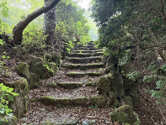 【その他】 | 東急天城高原別荘地　戸建
