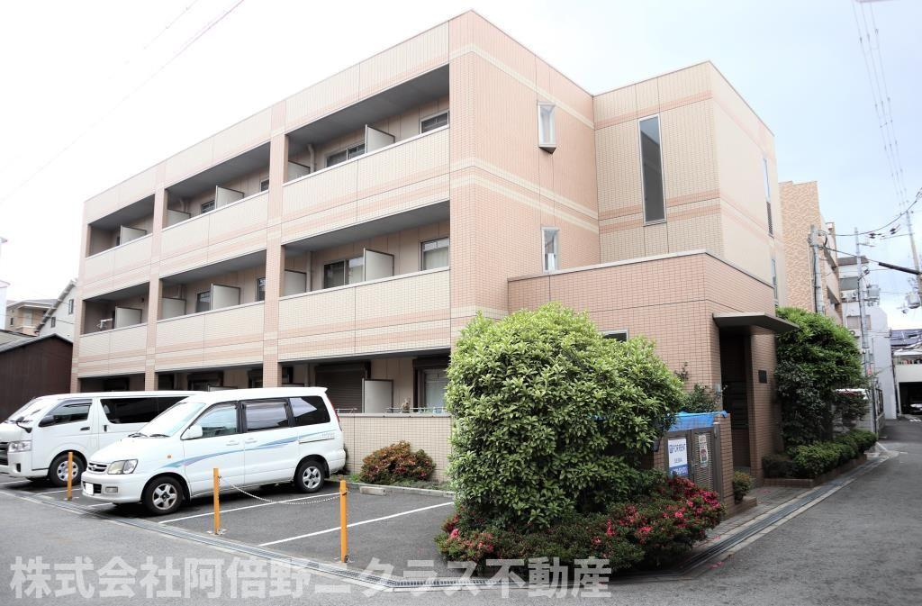 エクセレント・フィールド