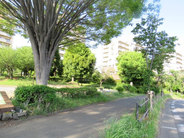 の-の画像