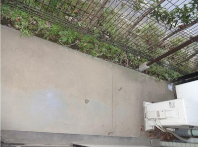 【バルコニー】 | ＫＴサトウⅡ