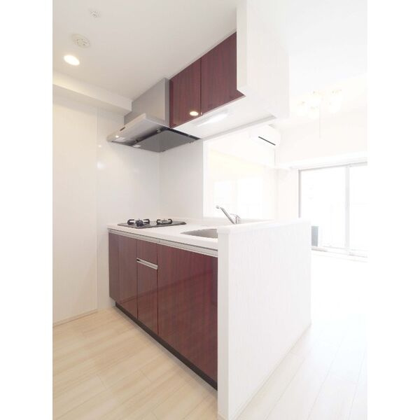 プレジオ永和EUROのキッチン