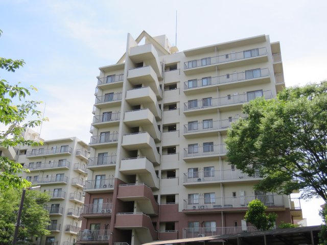 の-の画像