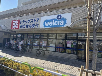 【周辺】 | レオネクストカーサレフィナード