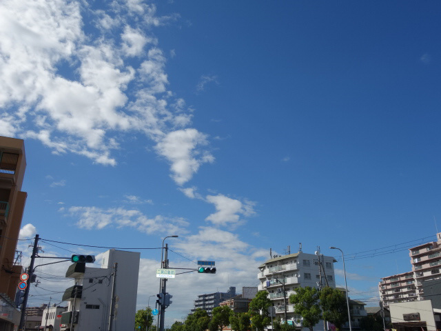 ラムール東二見の展望