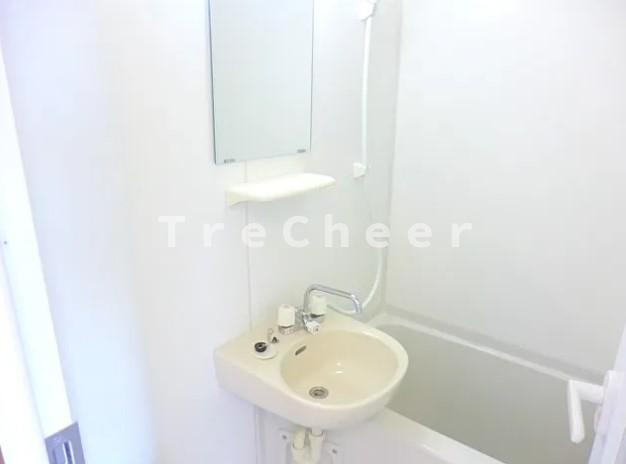 ロイヤル中十条の洗面所