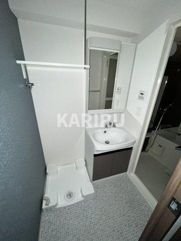 ファーストフィオーレ京橋ブレイニーの洗面所