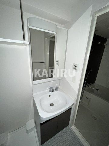 ファーストフィオーレ京橋ブレイニーの洗面所