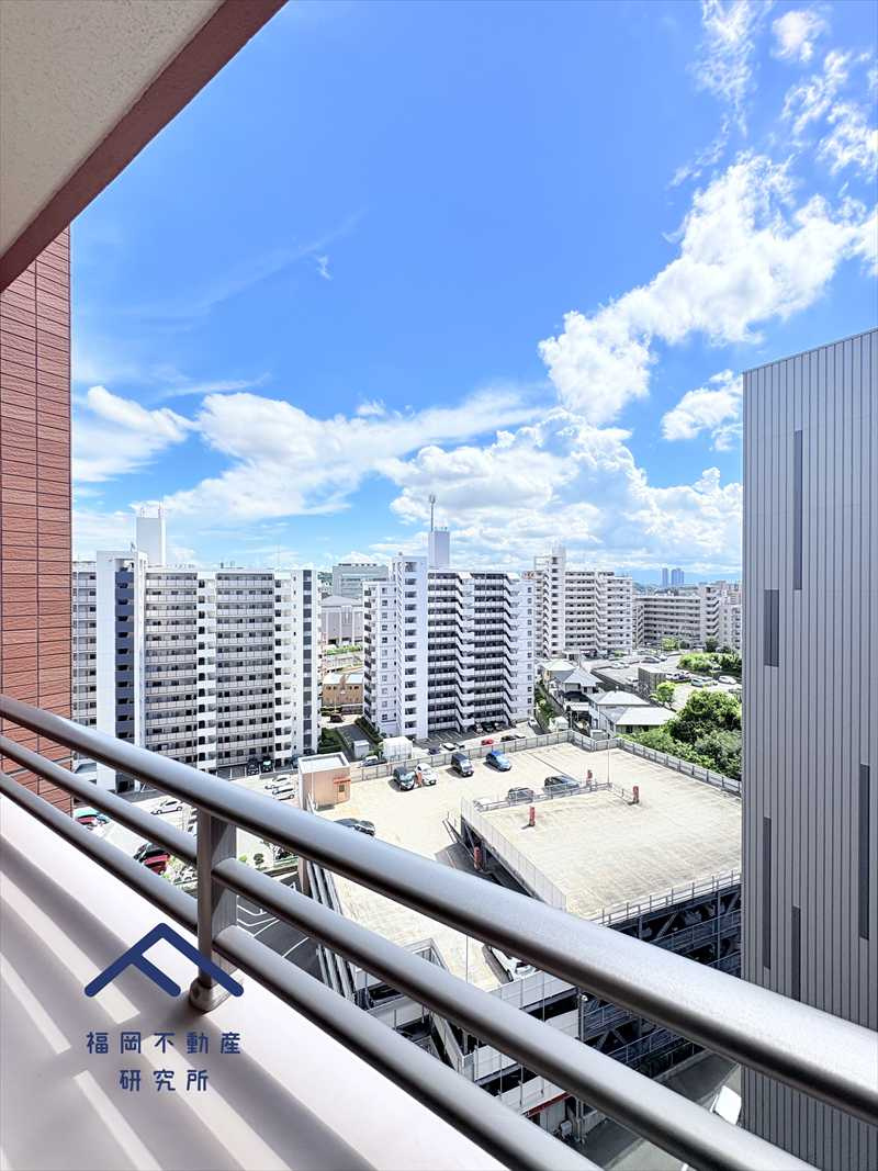 MJR和白丘の展望