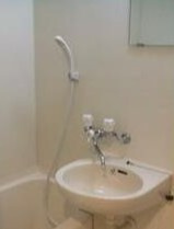 ギンガム瑞江の洗面所