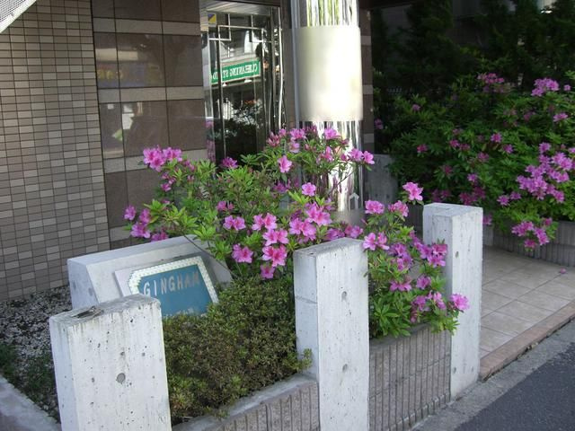 ギンガム瑞江のエントランス