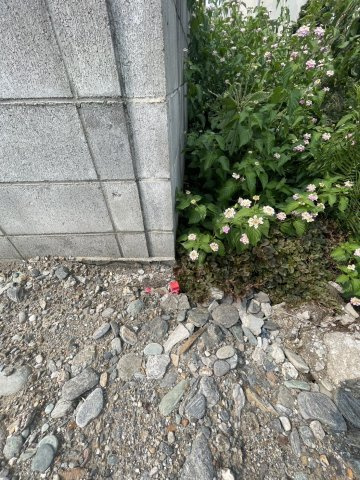 若水町2丁目　売土地のその他