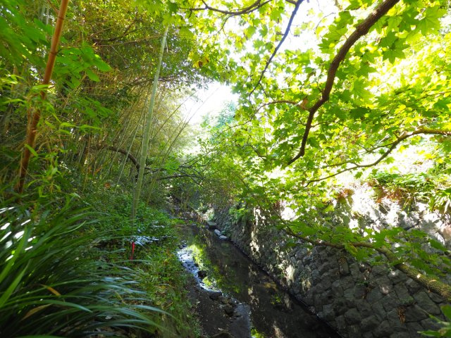 海まで徒歩５分！伝統工法建築の自然素材の家のその他