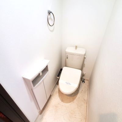 熊本市中央区白山３丁目の賃貸マンションのトイレ