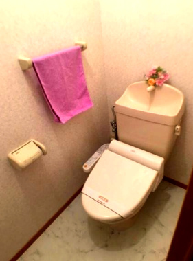 【トイレ】 | グレース岸田 | ※イメージ　同物件別号室の写真