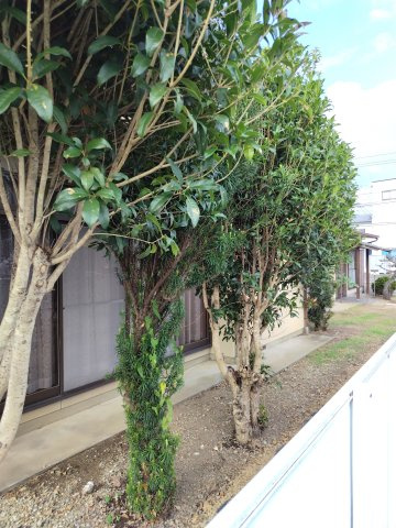 ６４２２６　各務原市蘇原寺島町土地の外観