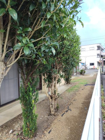６４２２６　各務原市蘇原寺島町土地の外観