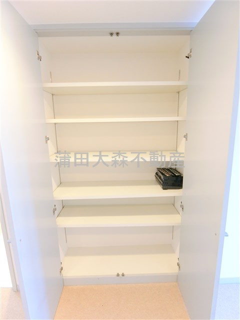 パークハウス多摩川南五番館の収納|廊下の棚収納