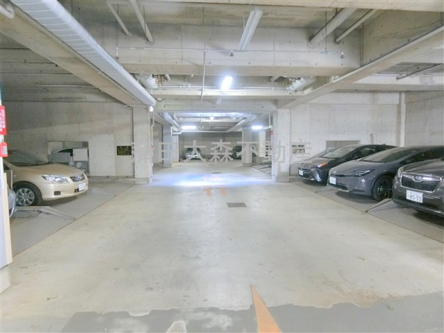 パークハウス多摩川南五番館の駐車場