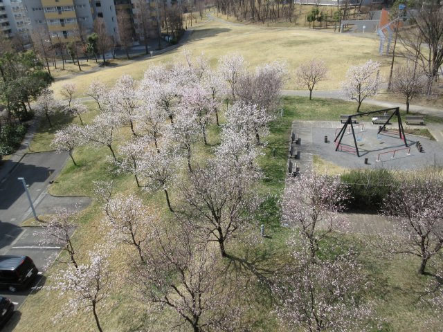 の-の画像