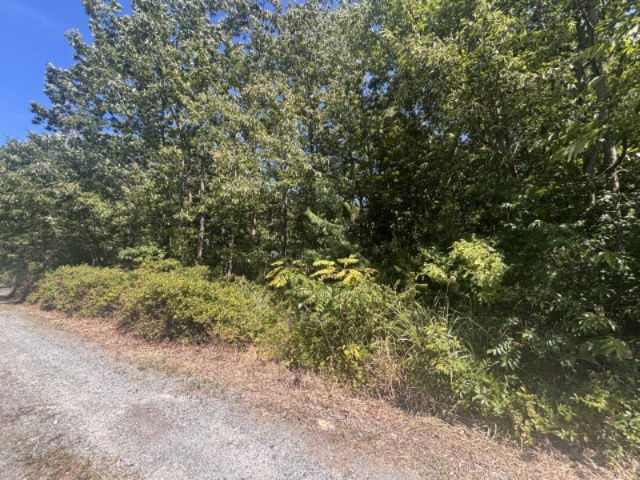 大津市大物712-11　売土地の外観|2025年08月　撮影