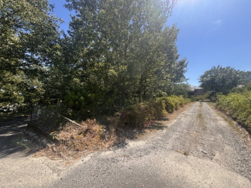 大津市大物712-11　売土地の前面道路含む現地写真|2025年08月　撮影