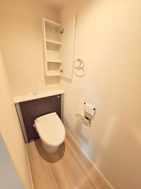 メゾングリシーヌ中神のトイレ