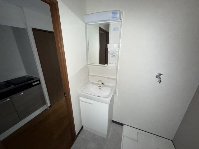 姫路市安田４丁目の賃貸マンションの洗面所