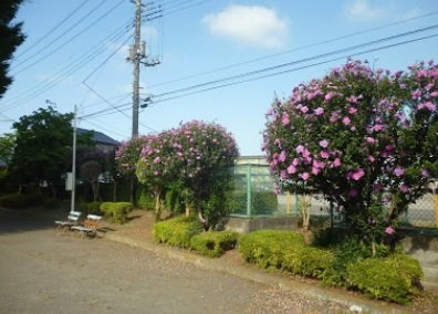 【周辺】 | レオパレス霞ヶ関第二