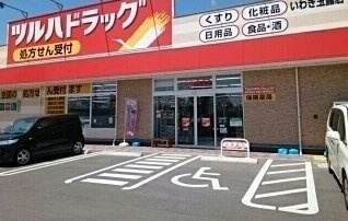 ハピネスの周辺|ツルハドラッグまで270m