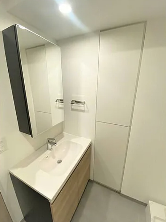 ウエリスアーバン錦糸町の洗面所