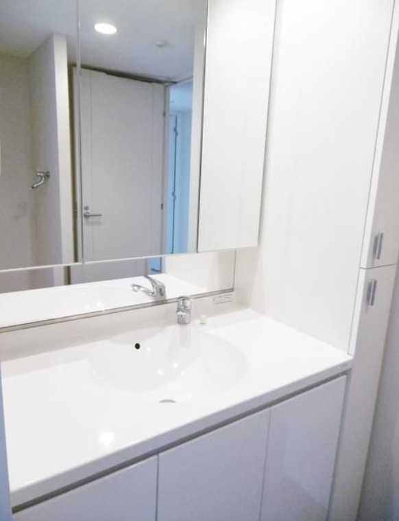 カスタリア三宿　ペット相談可　角部屋　礼金０の洗面所