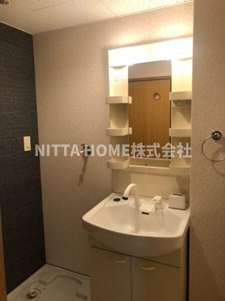 ラピスの洗面所|シャワー付きの洗面台朝の準備も楽々です◎