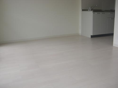 レージュサンパティックの居間・リビング