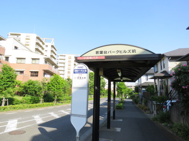 の-の画像