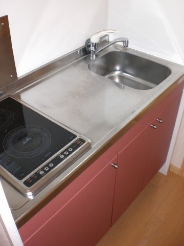 レオネクストみどうたうん　２１のキッチン